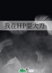 我在HP耍大刀